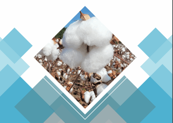 Production and Trade Subsidies Affecting the Cotton Industry