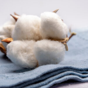 Specialty Cotton Report (formerly Extra Fine Cotton Update)