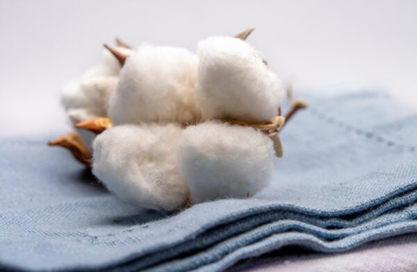 Specialty Cotton Report (formerly Extra Fine Cotton Update)