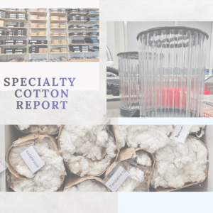 Specialty Cotton Report (formerly Extra Fine Cotton Update)